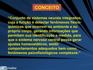 Grendene 
CONCEITO 
“Conjunto de sistemas neurais integrados, 
cuja a função é detectar fenômenos fisico-químicos 
que ocorrem no ambiente e no 
próprio corpo, gerando informações que 
permitam sua identificação e medida, para 
que o sistema nervoso central possa gerar 
ajustes homeostáticos, emitir 
comportamentos adequados bem como, 
fenômenos psicofisiológicos complexos.” 
 