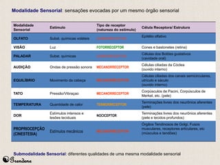 Modalidade Sensorial: sensações evocadas por um mesmo órgão sensorial 
Modalidade 
Sensorial 
Grendene 
Estímulo 
Tipo de receptor 
(natureza do estimulo) 
Célula Receptora/ Estrutura 
OLFATO Subst. químicas voláteis QUIMIORRECEPTOR 
Epitélio olfativo 
VISÃO Luz FOTORRECEPTOR Cones e bastonetes (retina) 
PALADAR Subst. químicas QUIMIORRECEPTOR 
Células dos Botões gustativos 
(cavidade oral) 
AUDIÇÃO Ondas de pressão sonora MECANORRECEPTOR 
Células ciliadas da Cóclea 
(ouvido interno) 
EQUILÍBRIO Movimento da cabeça MECANORRECEPTOR 
Células ciliadas dos canais semicirculares, 
utrículo e sáculo 
(ouvido interno) 
TATO Pressão/Vibraçao MECANORRECEPTOR 
Corpúsculos de Pacini, Corpúsculos de 
Merkel, etc. (pele) 
TEMPERATURA Quantidade de calor TERMORRECEPTOR 
Terminações livres dos neurônios aferentes 
(pele) 
DOR 
Estímulos intensos e 
lesões teciduais 
NOCICEPTOR 
Terminações livres dos neurônios aferentes 
(pele e tecidos profundos) 
PROPRIOCEPÇÃO 
(CINESTESIA) 
Estímulos mecânicos MECANORRECEPTOR 
Órgãos Tendinosos de Golgi, Fusos 
musculares, receptores articulares, etc 
(músculos e tendões) 
Submodalidade Sensorial: diferentes qualidades de uma mesma modalidade sensorial 
 