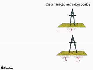 Grendene 
Discriminação entre dois pontos 
 
