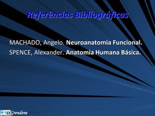 Referências Bibliográficas 
MACHADO, Angelo. Neuroanatomia Funcional. 
SPENCE, Alexander. Anatomia Humana Básica. 
Grendene 
