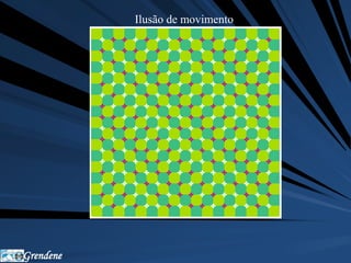 Grendene 
Ilusão de movimento 
 