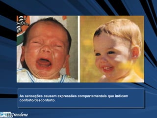 As sensações causam expressões comportamentais que indicam 
conforto/desconforto. 
Grendene 
 