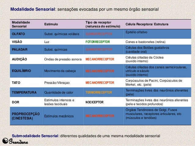7. Funções sensoriais