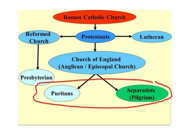 7 pilgrims v puritans puritans and separatists venn diagram