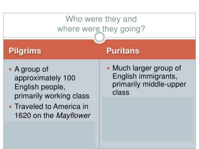 7 pilgrims v puritans puritans vs pilgrims venn diagram