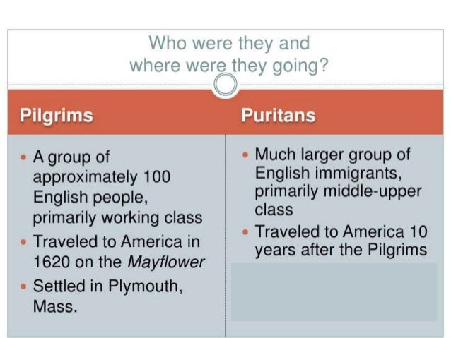 7 pilgrims v puritans pilgrims vs puritans venn diagram
