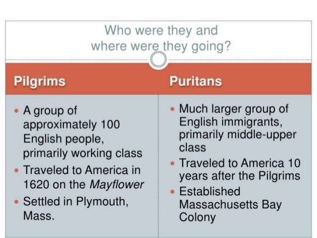 7 pilgrims v puritans puritans and separatists venn diagram