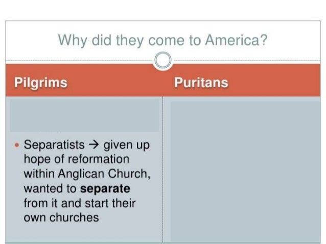 7 Pilgrims V Puritans