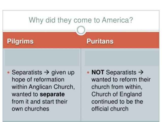 7 pilgrims v puritans puritans and separatists venn diagram