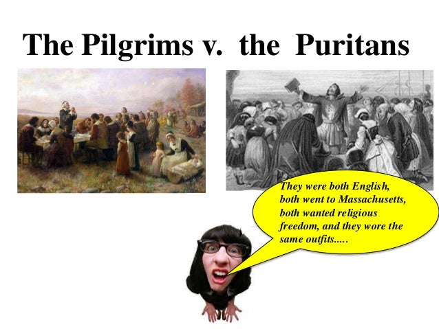 7 pilgrims v puritans puritan and pilgrim venn diagram