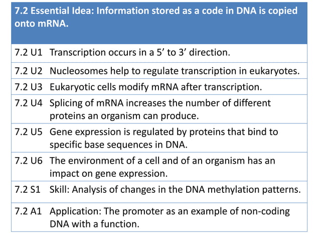 7.2 transcription & gene expression slideshare | PPTX