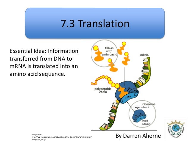 slideshare