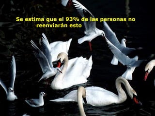 Se estima que el 93% de las personas no 
reenviarán esto                   
 