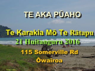 TE AKA PŪAHO
Te Karakia Mō Te Rātapu
21 Huitanguru 2016
115 Somerville Rd
Ōwairoa
Tikanga iv Māori
 