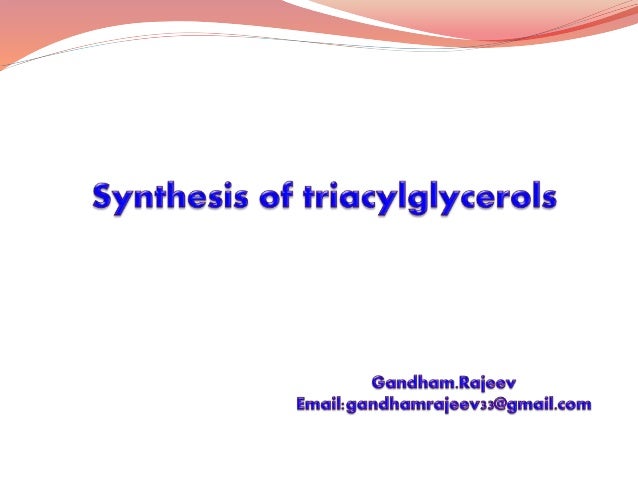 Tgl Metabolism