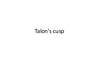 Talon's cusp
 