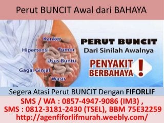 Agen Fiforlif Bandar Lampung, 0812-3181-2430 (TSel), Beli Fiforlif Bandar Lampung, Jual Fiforlif Bandar Lampung