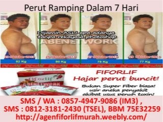Agen Fiforlif Makassar, 0812-3181-2430 (TSel), Beli Fiforlif Makassar, Jual Fiforlif Makassar