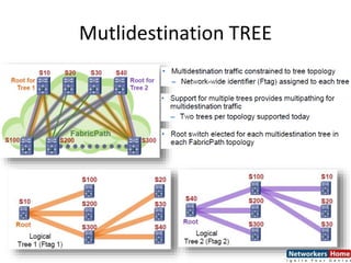 Mutlidestination TREE
 