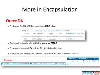More in Encapsulation
Outer DA
 