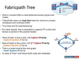 Fabricpath Tree
 