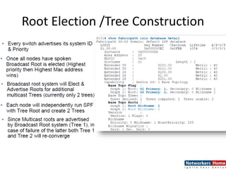 Root Election /Tree Construction
 