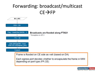 Forwarding: broadcast/multicast
CEFP
 