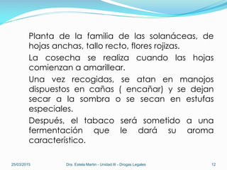 Planta de la familia de las solanáceas, de
hojas anchas, tallo recto, flores rojizas.
La cosecha se realiza cuando las hojas
comienzan a amarillear.
Una vez recogidas, se atan en manojos
dispuestos en cañas ( encañar) y se dejan
secar a la sombra o se secan en estufas
especiales.
Después, el tabaco será sometido a una
fermentación que le dará su aroma
característico.
25/03/2015 Dra. Estela Martin - Unidad III - Drogas Legales 12
 