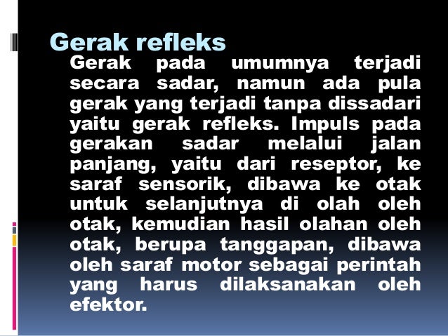 Susunan otot dan bagian bagiannya