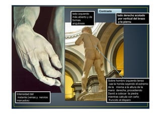 Contraste
lado derecho acotado
por vertical del brazo
y la pierna
lado izquierdo
más abierto y de
formas
angulosas
Sobre hombro izquierdo tenso
cae la honda cayendo el extremo
de la misma a la altura de la
mano derecha, procediendo
David a colocar la piedra
mientras calcula con ceño
fruncido el disparo
Intensidad del
instante (venas y nervios
marcados)
 