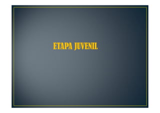 ETAPA JUVENIL
 