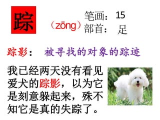 我已经两天没有看见
爱犬的踪影，以为它
是刻意躲起来，殊不
知它是真的失踪了。
踪影： 被寻找的对象的踪迹
笔画：
部首：踪 （zōng）
15
足
 