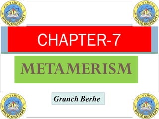 METAMERISM
CHAPTER-7
Granch Berhe
 