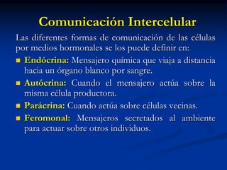 Comunicación Intercelular
Las diferentes formas de comunicación de las células
por medios hormonales se los puede definir en:
 Endócrina: Mensajero química que viaja a distancia
hacia un órgano blanco por sangre.
 Autócrina: Cuando el mensajero actúa sobre la
misma célula productora.
 Parácrina: Cuando actúa sobre células vecinas.
 Feromonal: Mensajeros secretados al ambiente
para actuar sobre otros individuos.
 