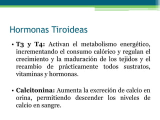Hormonas Tiroideas
• T3 y T4: Activan el metabolismo energético,
incrementando el consumo calórico y regulan el
crecimiento y la maduración de los tejidos y el
recambio de prácticamente todos sustratos,
vitaminas y hormonas.
• Calcitonina: Aumenta la excreción de calcio en
orina, permitiendo descender los niveles de
calcio en sangre.
 