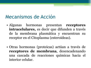 Mecanismos de Acción
• Algunas hormonas presentan receptores
intracelulares, es decir que difunden a través
de la membrana plasmática y encuentran su
receptor en el Citoplasma (esteroideas).
• Otras hormonas (proteicas) actúan a través de
receptores de membrana, desencadenando
una cascada de reacciones químicas hacia el
interior celular.
 