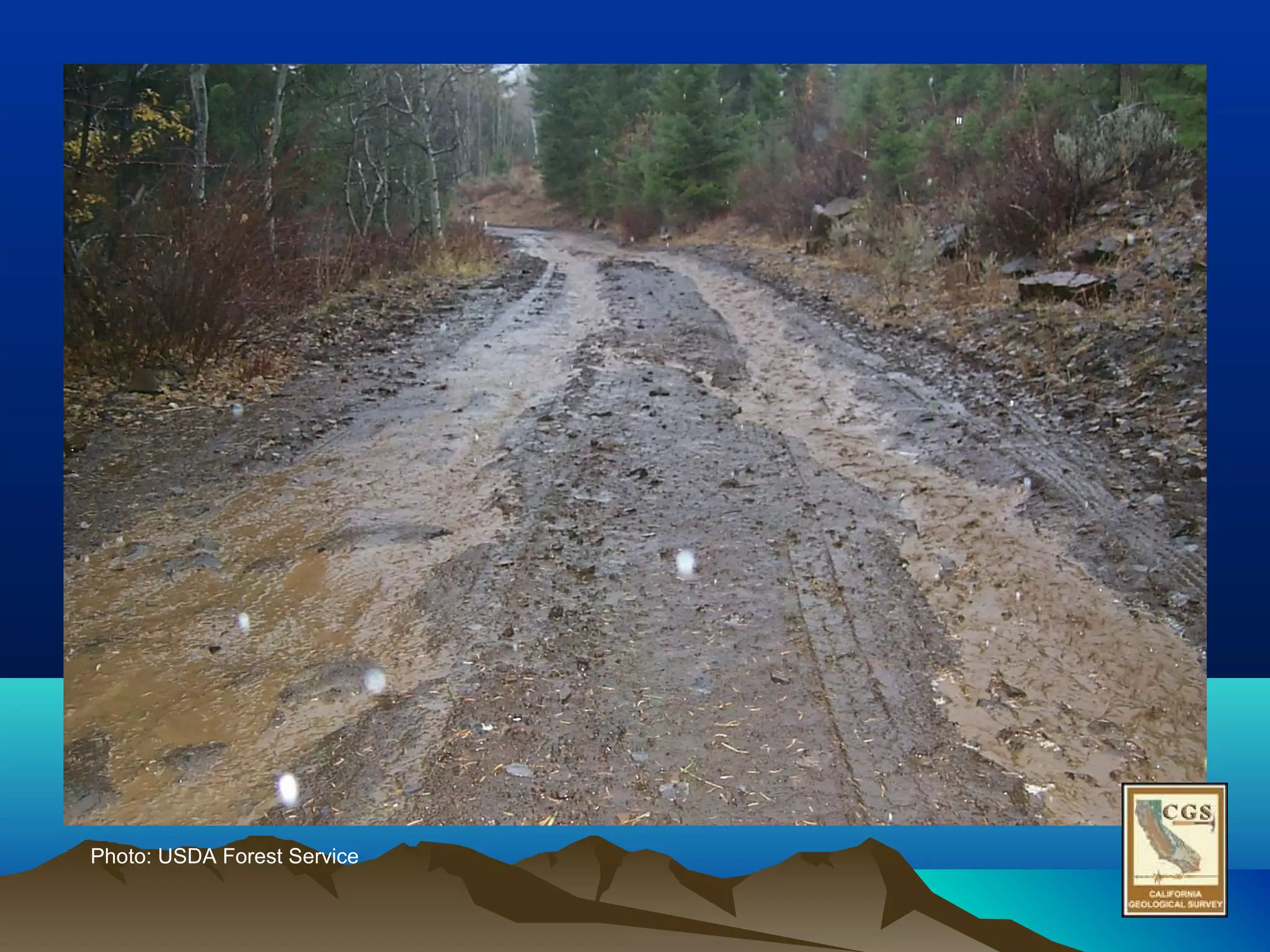 Photo: USDA Forest Service