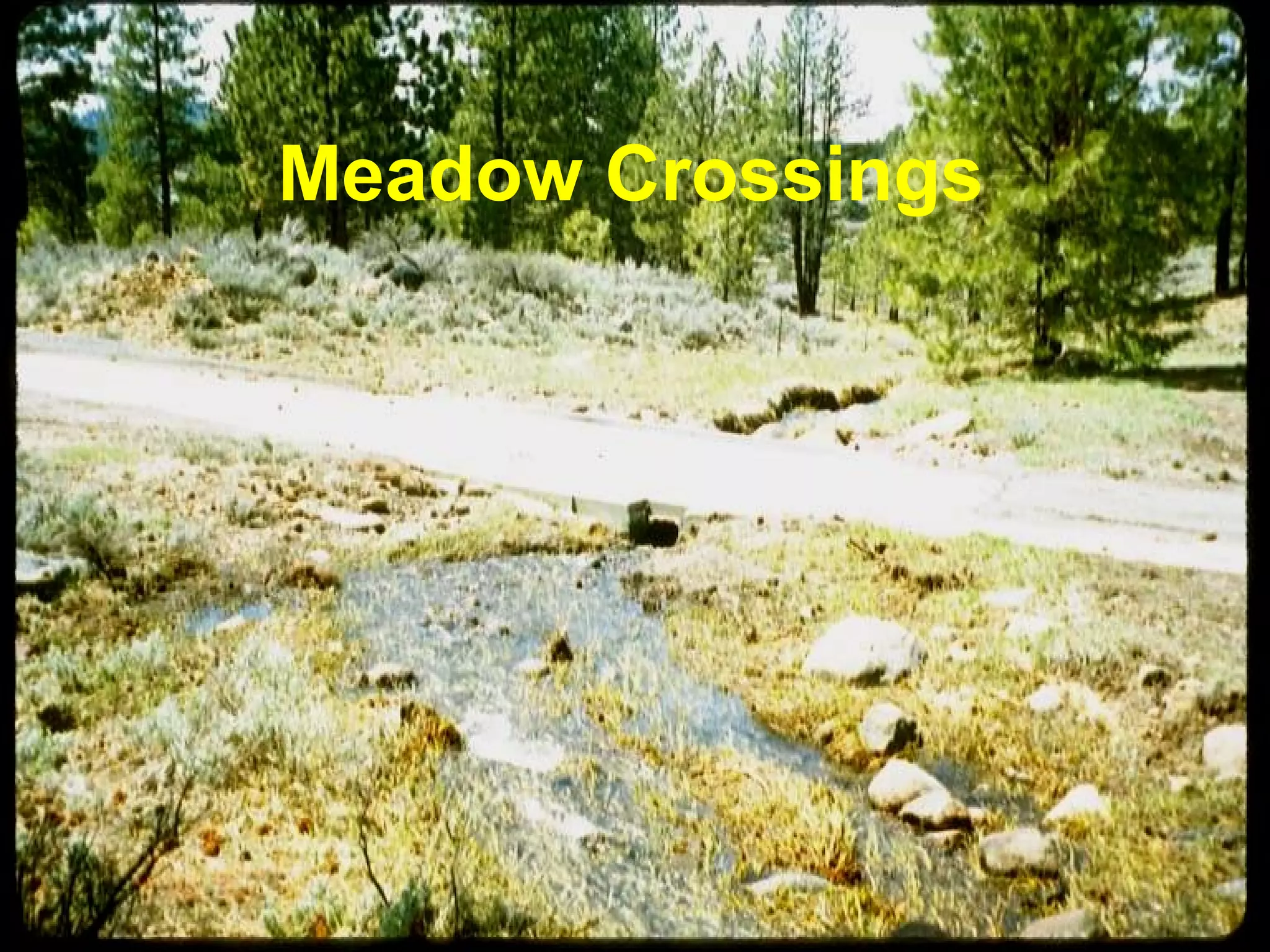 Meadow Crossings