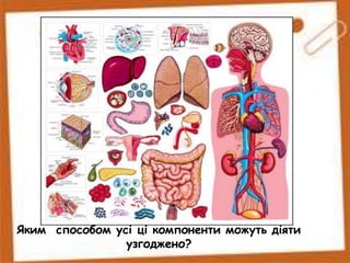 Яким способом усі ці компоненти можуть діяти
узгоджено?
 