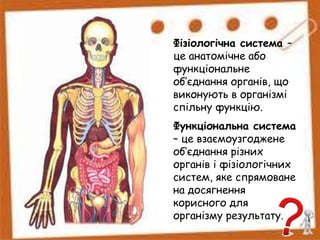 Фізіологічна система –
це анатомічне або
функціональне
об’єднання органів, що
виконують в організмі
спільну функцію.
Функціональна система
– це взаємоузгоджене
об’єднання різних
органів і фізіологічних
систем, яке спрямоване
на досягнення
корисного для
організму результату.
 