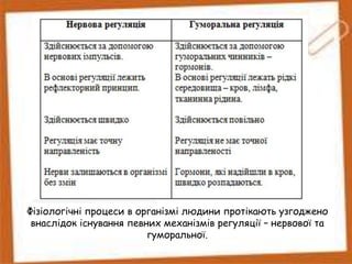 Фізіологічні процеси в організмі людини протікають узгоджено
внаслідок існування певних механізмів регуляції – нервової та
гуморальної.
 