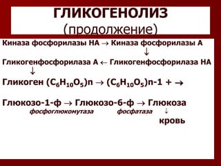 ГЛИКОГЕНОЛИЗ
(продолжение)
Киназа фосфорилазы НА Киназа фосфорилазы А
Гликогенфосфорилаза А Гликогенфосфорилаза НА
Гликоген (С6Н10О5)n (С6Н10О5)n-1 +
Глюкозо-1-ф Глюкозо-6-ф Глюкоза
фосфоглюкомутаза фосфатаза
кровь
 