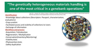 Implementation of mobile computing system to support the management of the operations in the CIAT Genebank