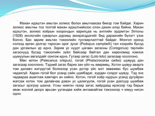 "Экологи байгаль хамгаалал" Хичээл-7