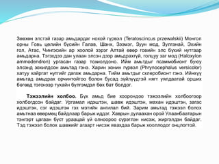 "Экологи байгаль хамгаалал" Хичээл-7