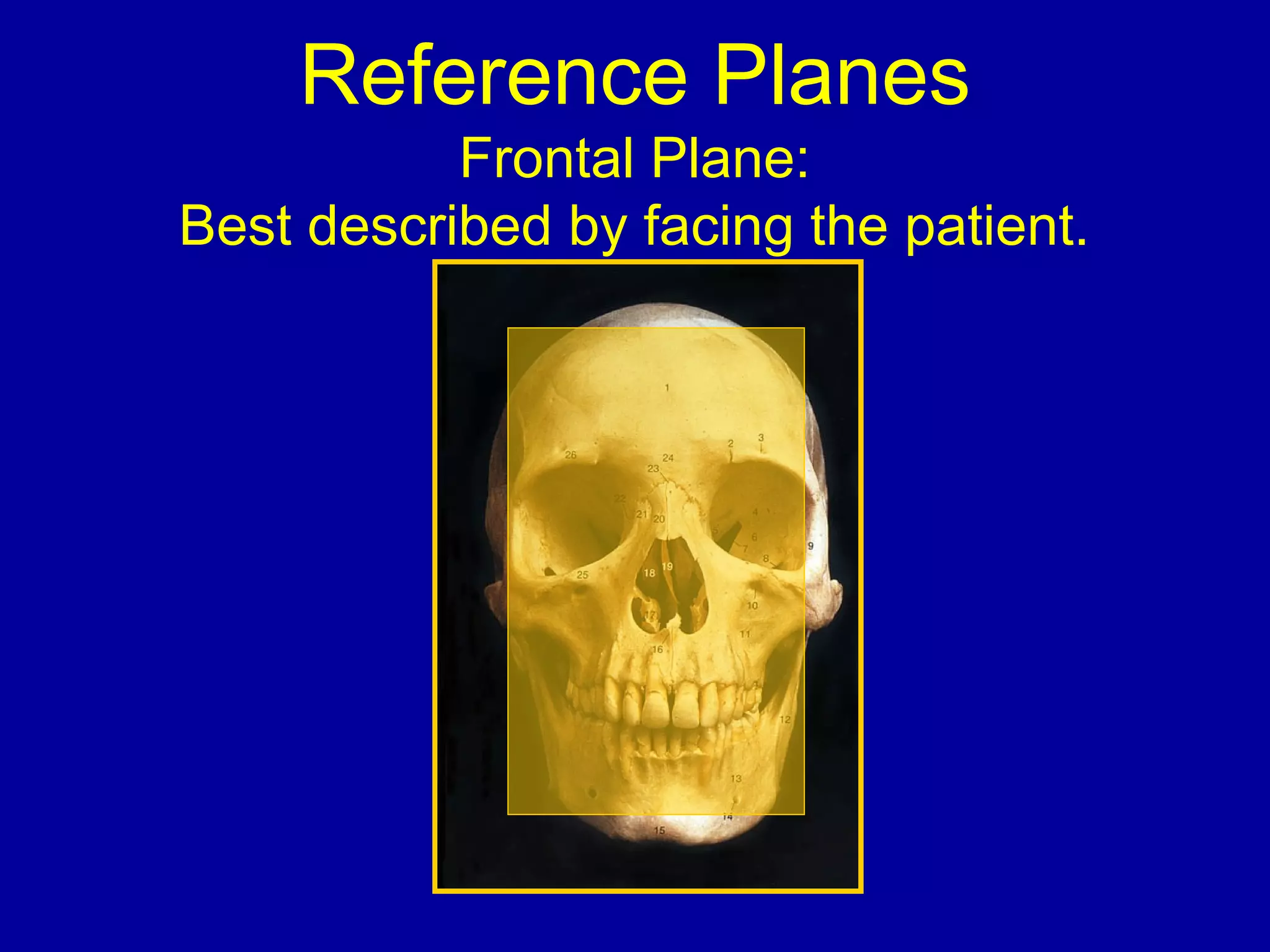 Reference Planes
Frontal Plane:
Best described by facing the patient.
 