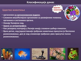 Класификација данас
• организми са организованим једром.
• Сложени вишећелијски организми са развијеним ткивима,
органима и системима органа.
• Немају ћелијски зид.
• Хране се хетеротрофно.
• Као резервну материју у ћелији имају сложени шећер-гликоген.
• Врло ретко, код једноставније грађених животиња присутно је бесполно
размножавање, док је код сложеније грађених увек присутно полно
размножавање.
Царство
животињаЦарство животиња
 