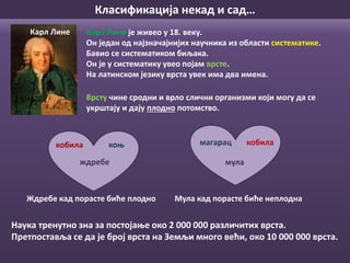 Карл Лине Карл Лине је живео у 18. веку.
Он један од најзначајнијих научника из области систематике.
Бавио се систематиком биљака.
Он је у систематику увео појам врсте.
На латинском језику врста увек има два имена.
Врсту чине сродни и врло слични организми који могу да се
укрштају и дају плодно потомство.
Мула кад порасте биће неплодна
коњкобила
ждребе
Ждребе кад порасте биће плодно
кобиламагарац
мула
Наука тренутно зна за постојање око 2 000 000 различитих врста.
Претпоставља се да је број врста на Земљи много већи, око 10 000 000 врста.
Класификација некад и сад…
 