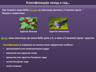 Сва позната жива бића некада су научници делили у 2 велике групе –
биљке и животиње.
Класификација је извршена на основу неких заједничких особина:
• организовано или неорганизовано једро
• присуство или одсуство ткива
• присуство или одсуство ћелијског зида
• састав ћелијског зида
• начин исхране
Класификација некад и сад…
Данас неки научници сва жива бића деле у 5, а неки у 6 великих група– царства.
Царство биљака Царство животиња
 