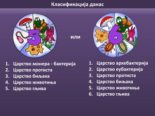 Класификација данас
1. Царство монера - бактерија
2. Царство протиста
3. Царство биљака
4. Царство животиња
5. Царство гљива
1. Царство архебактерија
2. Царство еубактерија
3. Царство протиста
4. Царство биљака
5. Царство животиња
6. Царство гљива
или
 